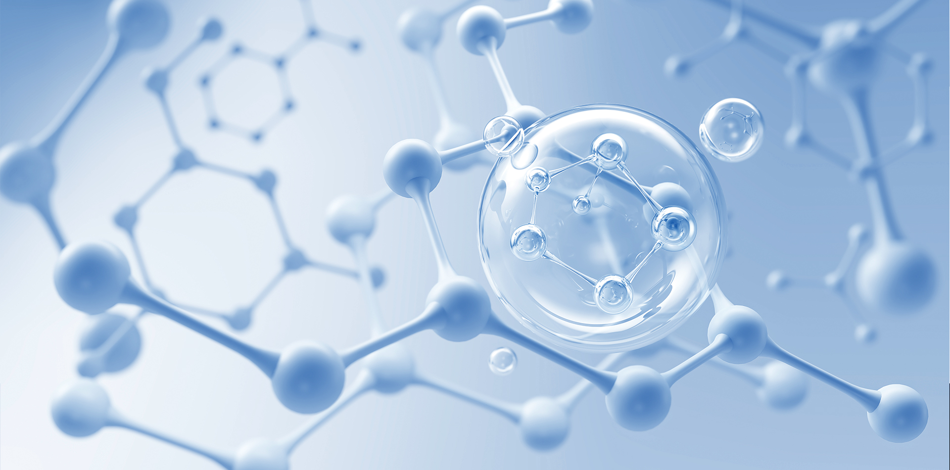 集聚高分子材料領域尖端人才