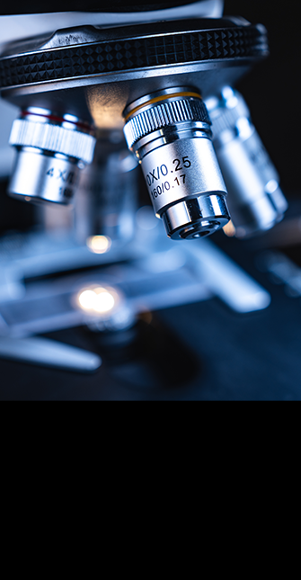 研發(fā)團(tuán)隊(duì)